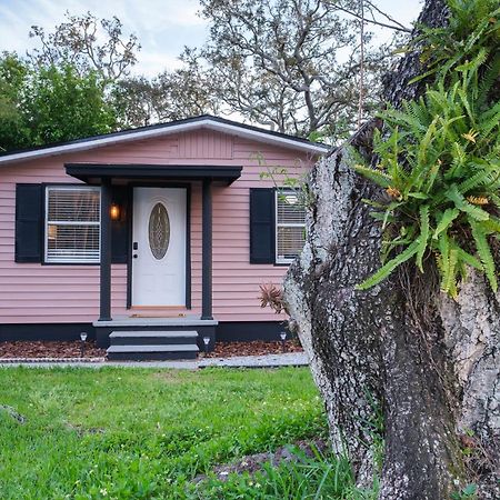House Near Tampa Zoo And Busch Gardens, Free High Speed Wifiヴィラ エクステリア 写真