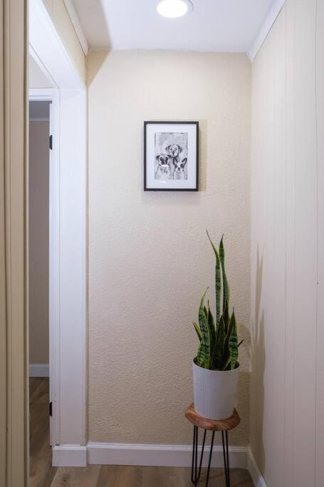 House Near Tampa Zoo And Busch Gardens, Free High Speed Wifiヴィラ エクステリア 写真